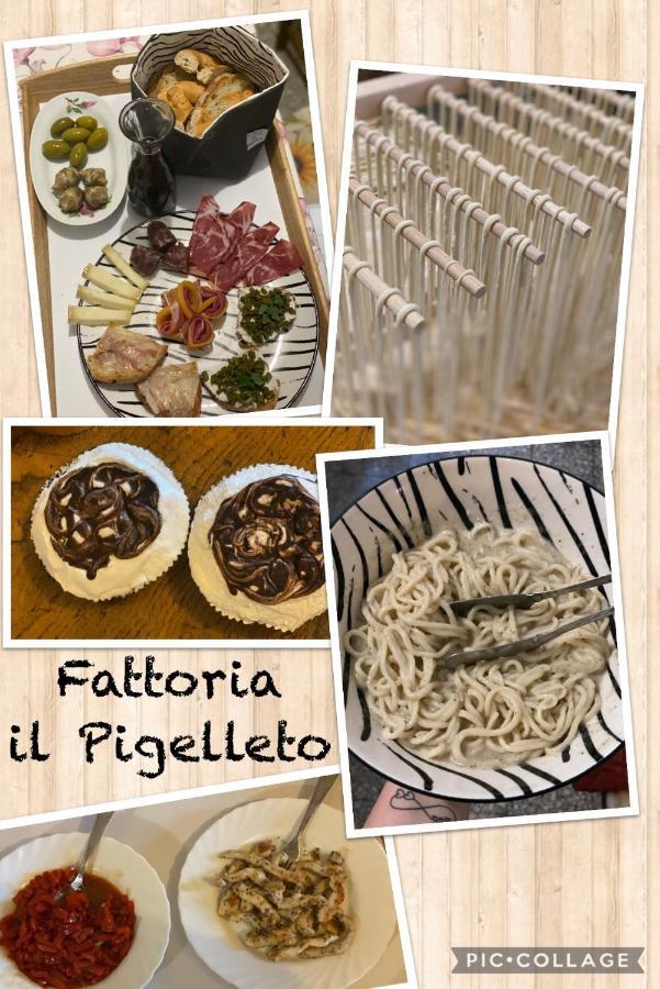 皮亚恩卡斯塔尼亚伊奥Fattoria Il Pigelleto别墅 外观 照片